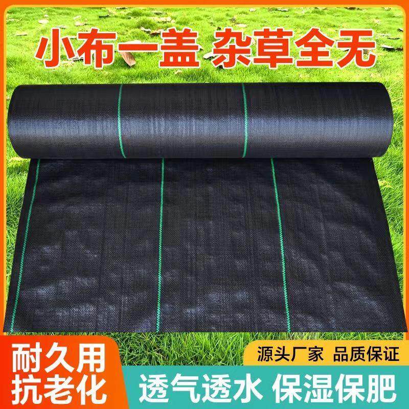 70g防草布寸草不生农用打孔除草布遮草布透气透水抗老化果园加厚