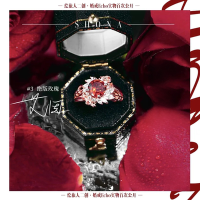 时空中的绘旅人求婚系列三周年Echo婚戒系列艾因路辰罗夏司岚叶瑄