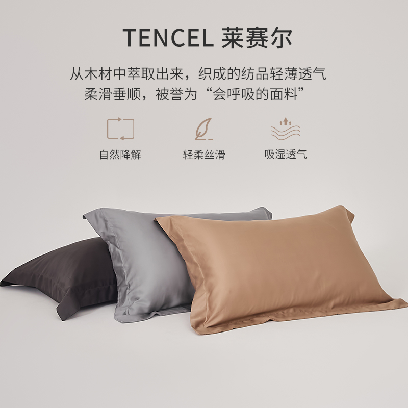 60S莱赛尔天丝单人枕套一对装春秋枕头套枕芯内胆套48x74