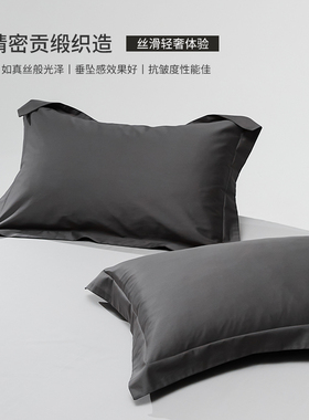 ROLAND LIVE四季枕头套纯棉长绒棉单人枕套2只一对装全棉枕头芯