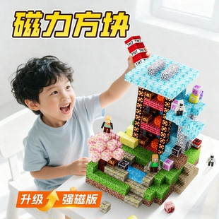 颗粒磁铁磁吸积木套装 拼装 儿童益智玩具 世界磁力方块全套正版 我