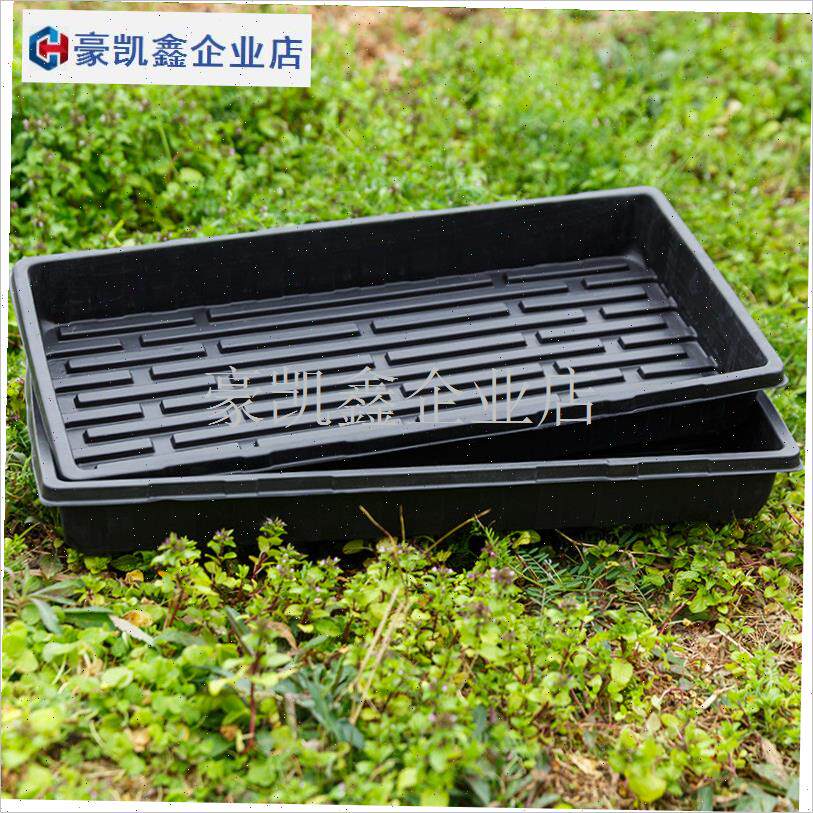 芽苗菜多肉加厚无孔穴盘育苗盘托盘框平盘整理S框长方Z形塑料盆.
