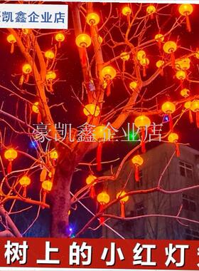 挂树上的小灯笼太阳能新年树灯彩灯满天星Mled灯带户外缠树灯串.