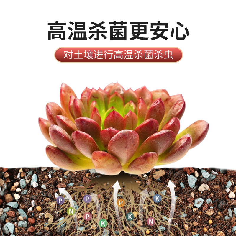 多肉专用栽培土颗粒土多肉叶插土壤种植土铺面石纯颗粒花土营养土-封面