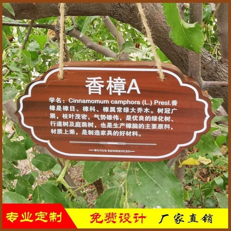 植树节挂牌认养牌标牌植物纪念牌木牌吊牌信息牌吊牌定制认领牌