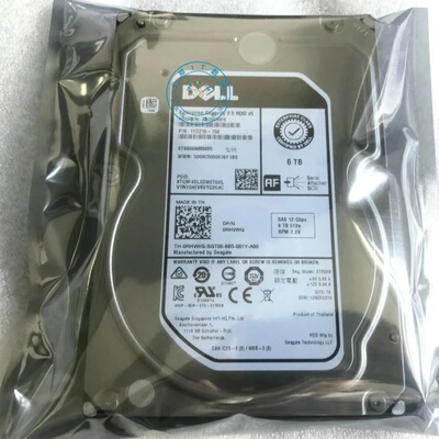 DELL0RHVWG6T7.2KSAS12G