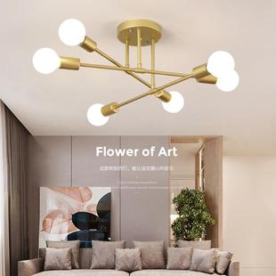 客厅灯家用卧室儿童房间灯LED公寓出租房北欧灯具 吸顶灯创意个性