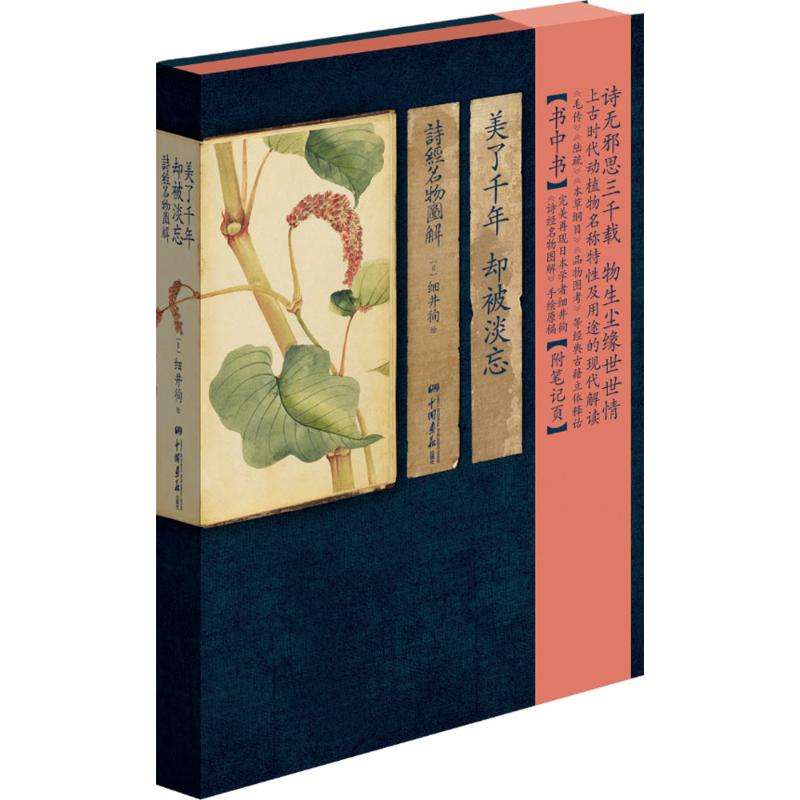 【全新正版】美了千年,却被淡忘