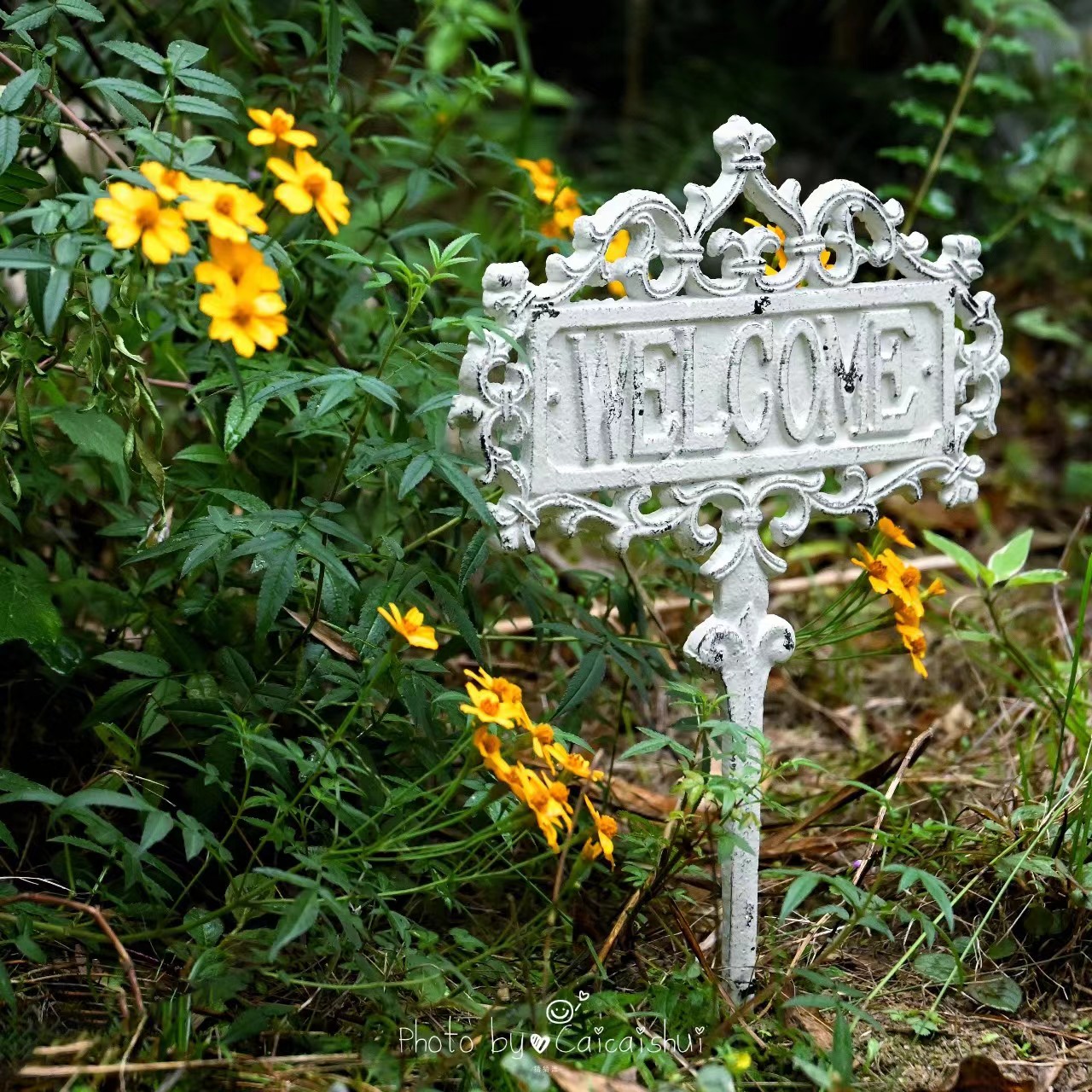 welcome铸铁花插 露台ins杂货花园花坛花盆装饰地插花架落地摆件 家居饰品 装饰摆件 原图主图