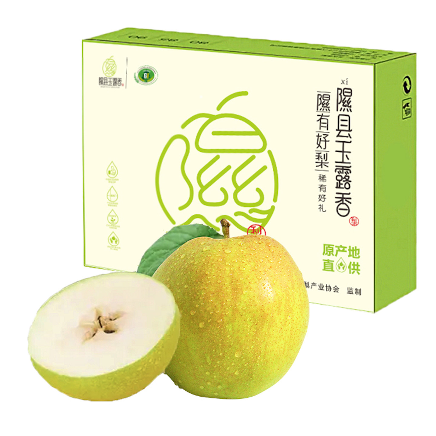 山西省隰县玉露香梨现摘现发新鲜脆甜12颗大果整箱礼盒装顺丰包邮