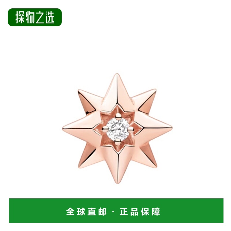 香港直邮Dior 风之星耳环 JRDV95246迪奥