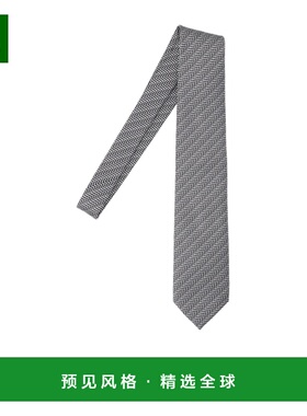 1h可退 香港直邮TOM FORD 男士领带 STE001S0245NWA SS2026 灰色