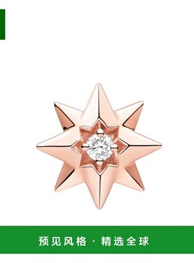 香港直邮Dior 风之星耳环 JRDV95246迪奥耳钉配饰