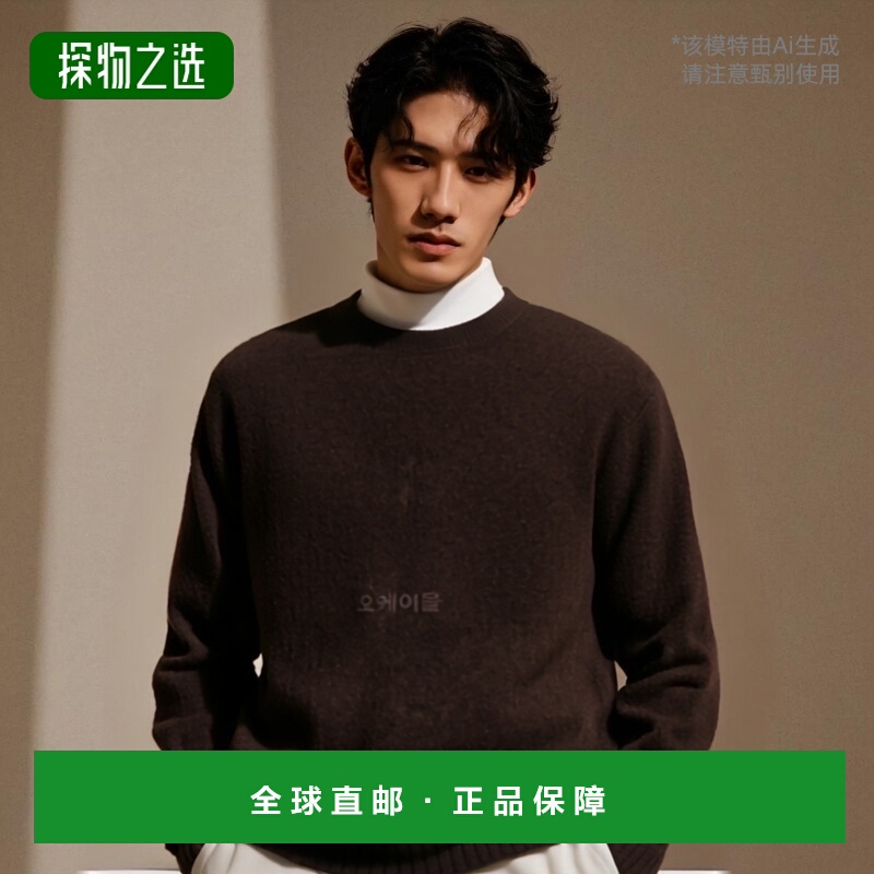 韩国直邮Howlin'针织衫男款出行时尚简约百搭舒适透气酷棕色圆领