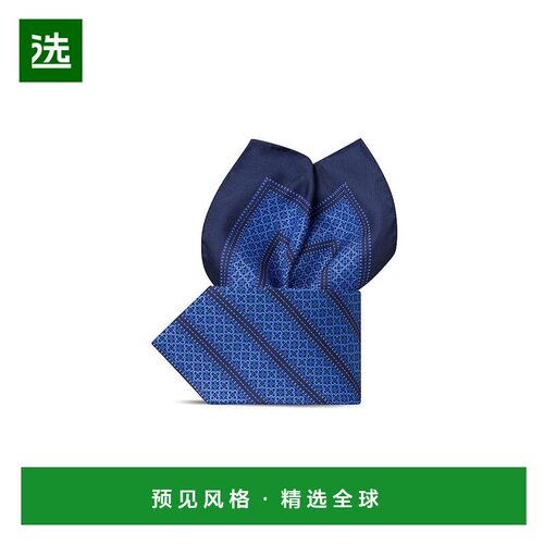 【美国直邮】stefano ricci/史蒂芬劳.尼治  领带