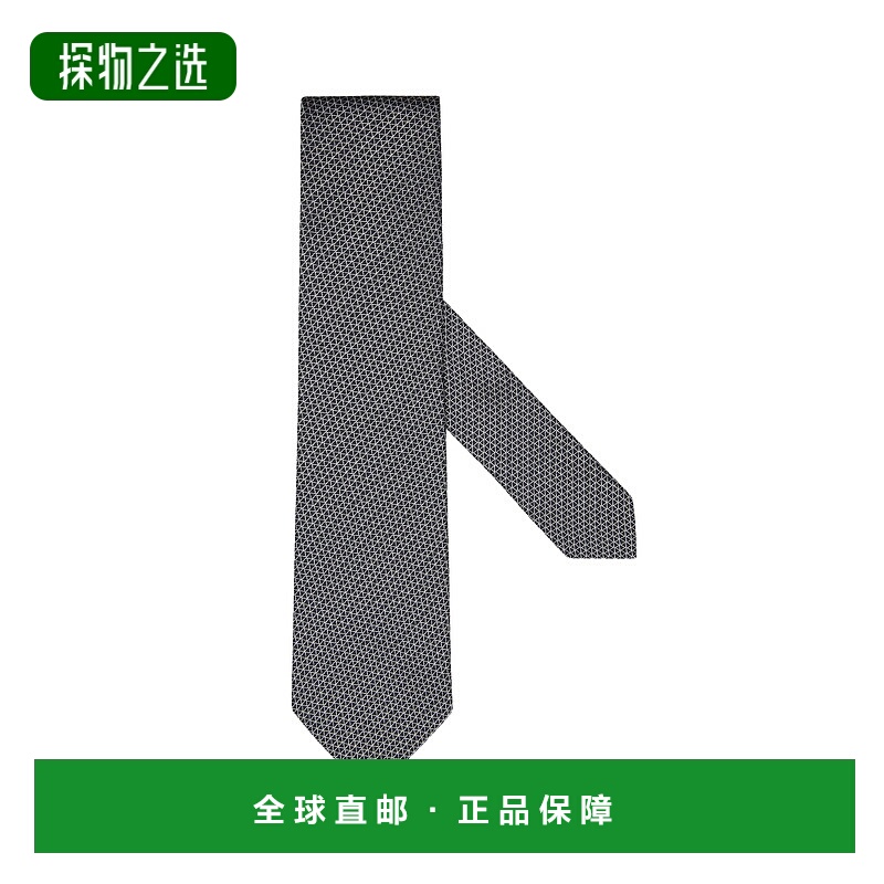 香港直邮Zegna 真丝领带 Z9C10TA91PC