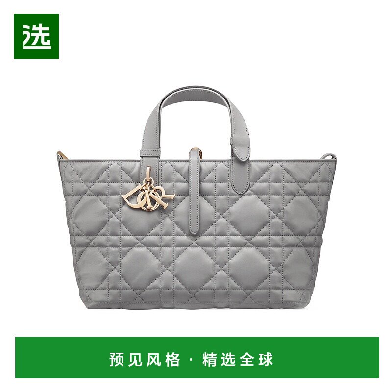 1h可退 香港直邮Dior 中号 Dior Toujours 手提包 M2821OSNW