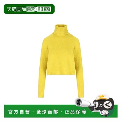 1h可退 香港直邮Celine 思琳 女士 Triomphe 羊毛刺绣高领上衣 RY