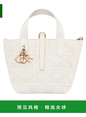 香港直邮Dior 微型 Dior Toujours 竖版手提包 S6100OMXD