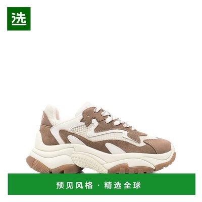 香港直邮ASH 女士运动鞋 ADDICT06TALC AW2025 棕色 系带运动鞋