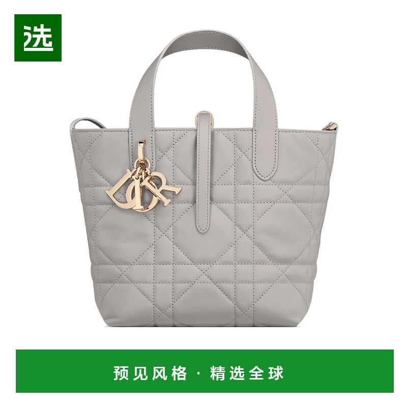 香港直邮Dior 小号 Dior Toujours 垂直托特包 M2835OSNW