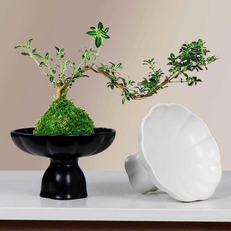 米竹水培花盆植陶瓷花瓣苔藓球花件盆JW008771客桌面绿菖蒲摆盆景