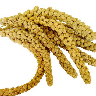 千鹦鸟舍天然精选黄谷穗玄凤虎皮牡丹饲料鸟粮鸟食文鸟珍珠鸟零食