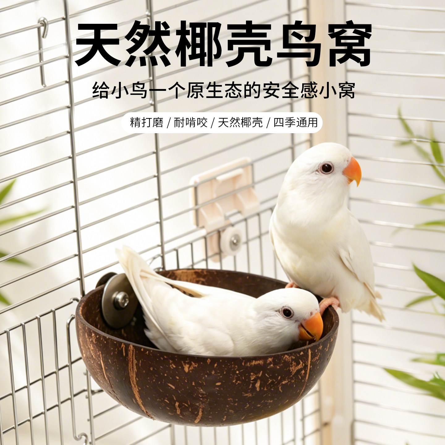 千鹦鸟舍椰壳鹦鹉专用鸟巢图片