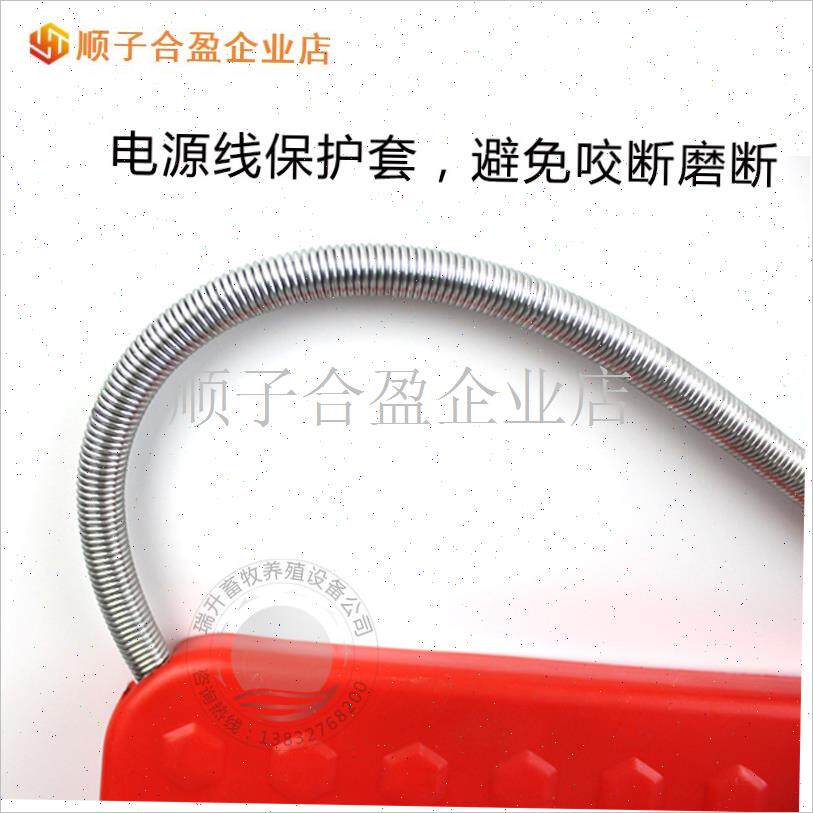 宠物猪用加热f板 兔子加热板狗用电热板 蛇猫加热毯小型动物取暖.