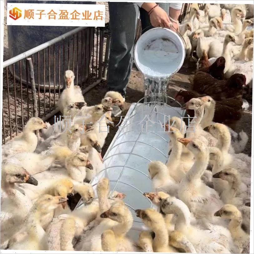 鸭鹅用食槽料槽水槽长方形喂饲B料槽子塑料饮喝水盆养鸭鹅产品.