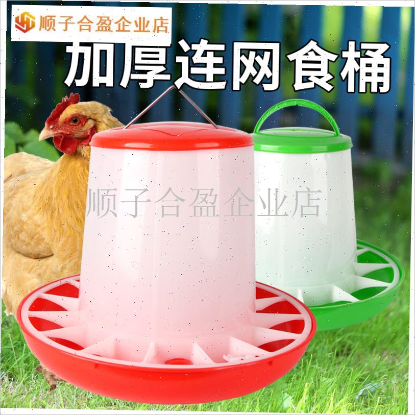 加厚连网交l口饲料桶养鸽鸡鸭鹅喂 食桶食槽食器养殖设备.