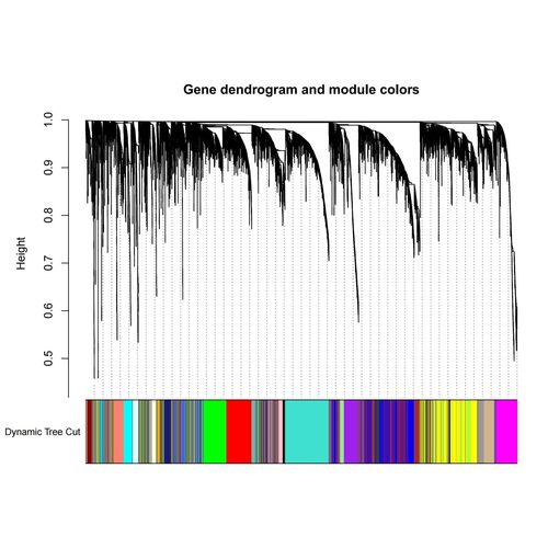 GEO和TCGA数据库多组别WGCNA分析，挖掘各组特征相关的模块基因。