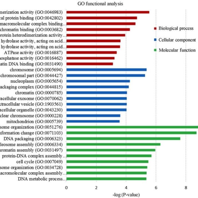 GO KEGG富集分析 GSEA富集分析 基因通路气泡韦恩 生信分析作图代