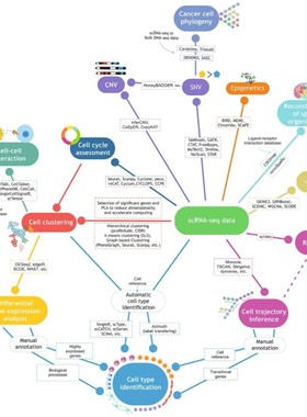 生信自学网网络毒理学+113种机器学习+SHAP分析+分子对接12分文章