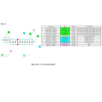 分子对接autodock vina/moe/Schrodinger2021/薛定谔/DS/Discovo