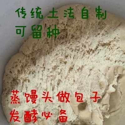 农家手工自制天然酵母老面头酵引子传统酵头面肥发酵粉好用200g