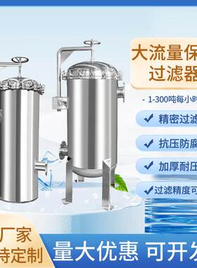 大通量折叠滤芯式不锈钢保安过滤器工业河井水大流量精密过滤器