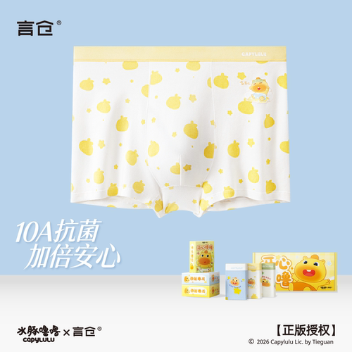水豚噜噜男士内裤全棉纯棉