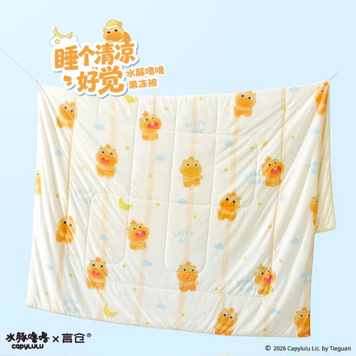 言仓水豚噜噜夏凉被午休空调被可爱儿童学生女生生日礼物