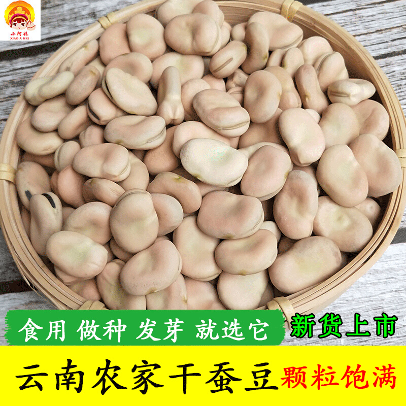 蚕豆新货干2024年农家生蚕豆种子5斤生的新鲜罗汉豆干货馋豆胡豆-封面