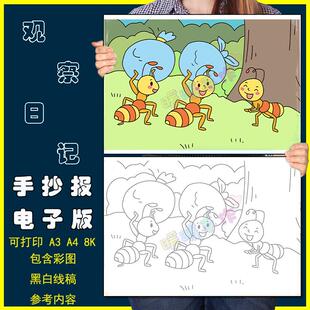 蚂蚁搬家儿童画手抄报模板小学生语文配图观察动物蚂蚁搬家简笔画