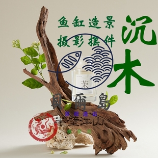 栖根沉木鱼缸造景拍摄小道具摄影摆件拍照装饰枯树枝森系DIY装饰