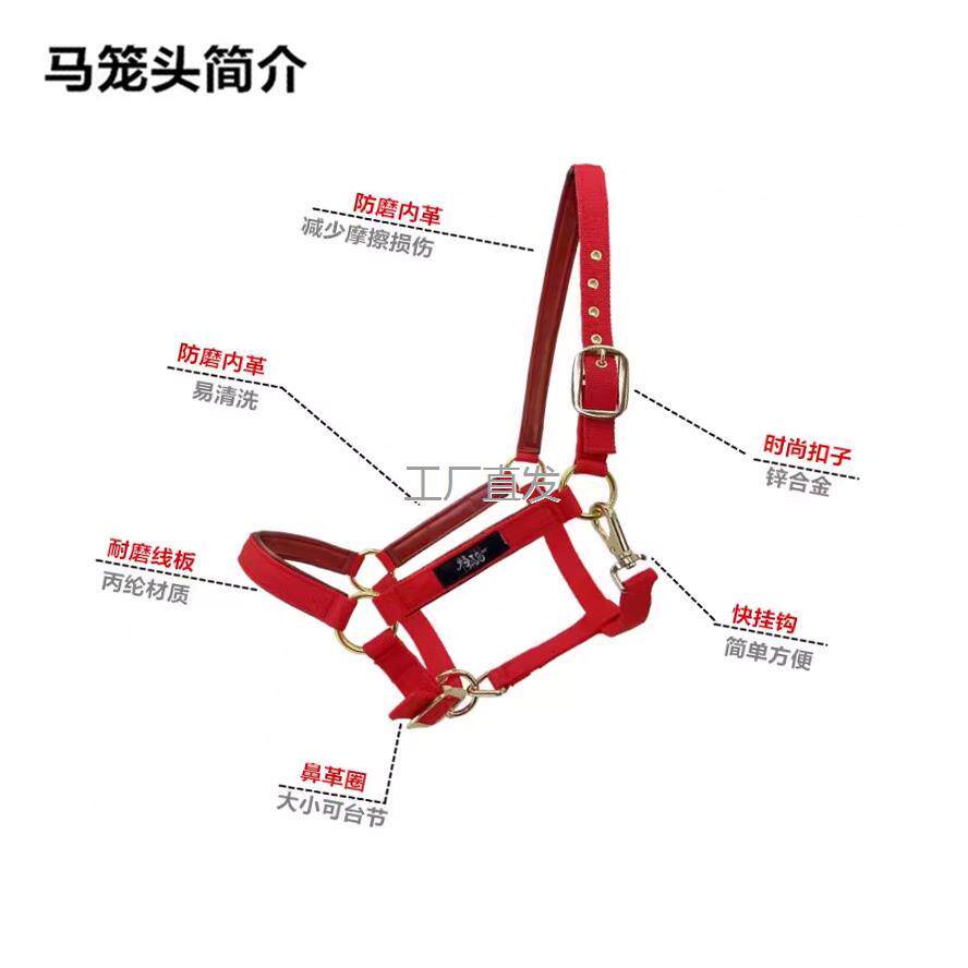 马笼头绳子牵马调教全套