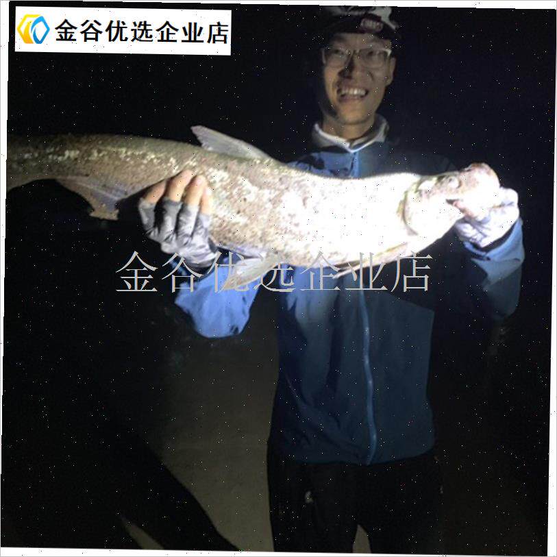 轻青舞虫路亚饵软饵鲈鱼桂鱼鳜鱼翘F嘴鲶鱼青梢针尾直尾路亚根钓\