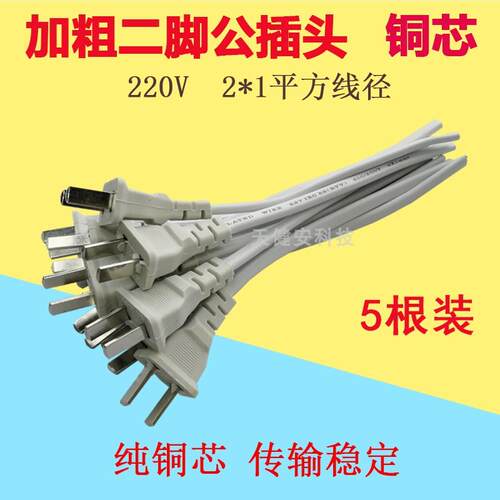 加粗220Vl二脚公母插头监