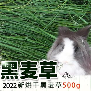 龙猫 2023黑麦草新草干草 兔子草 陆龟牧草500g 烘干黑麦箱装 豚鼠