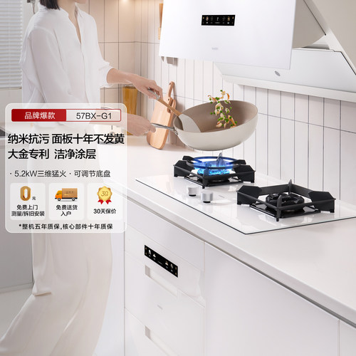 老板盐系G1灶具咨询领券
