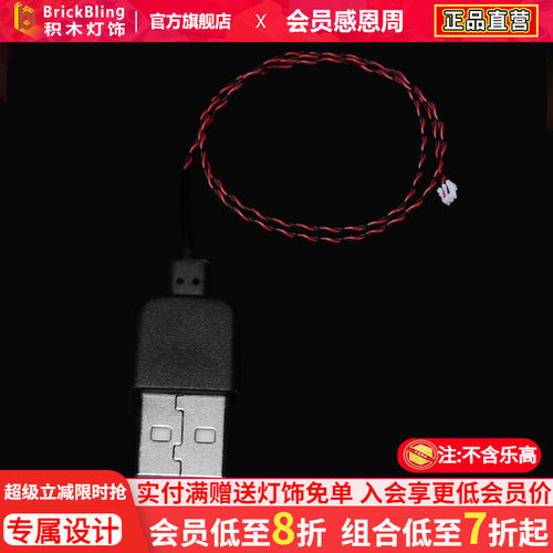 BrickBlingUSB供电接口适用