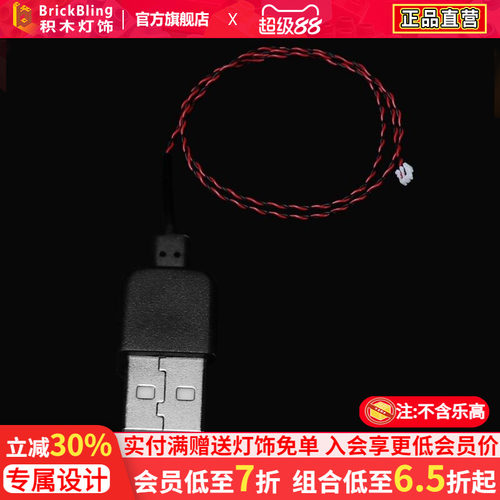 BrickBlingUSB供电接口适用