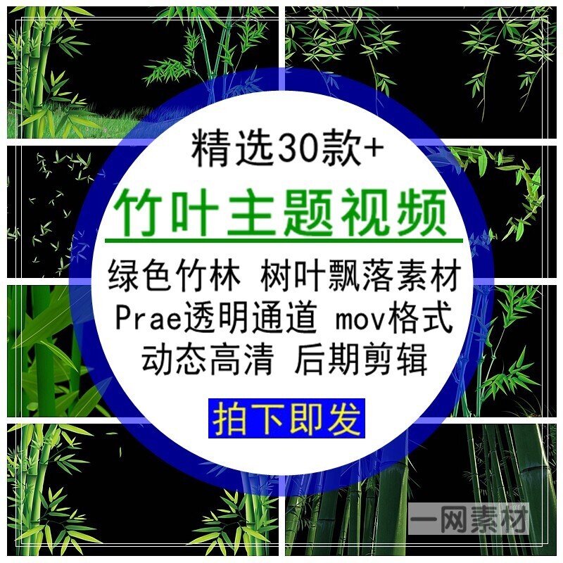 竹叶主题视频素材绿色竹林树叶飘落prae透明通道mov格式剪辑合集
